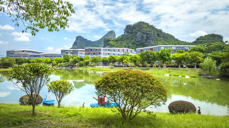 成都物联网电子模块：揭秘其报价背后的技术考量