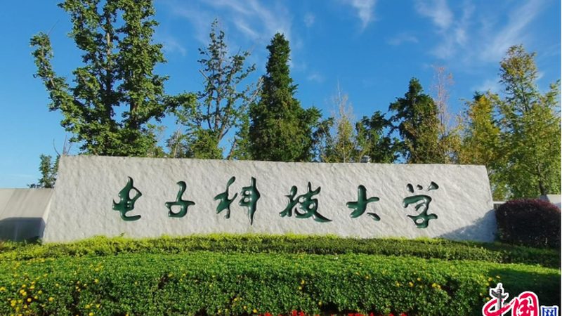 电子产品出口欧洲流程步骤